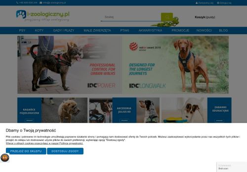 MAGNIFICA Aleksandra Adamowicz-Wach